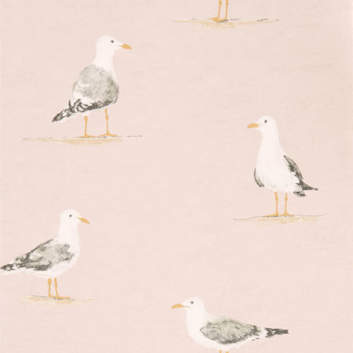 Shore Birds 216562